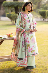 Sapphire 3PC Printed Lawn MM-SLP02